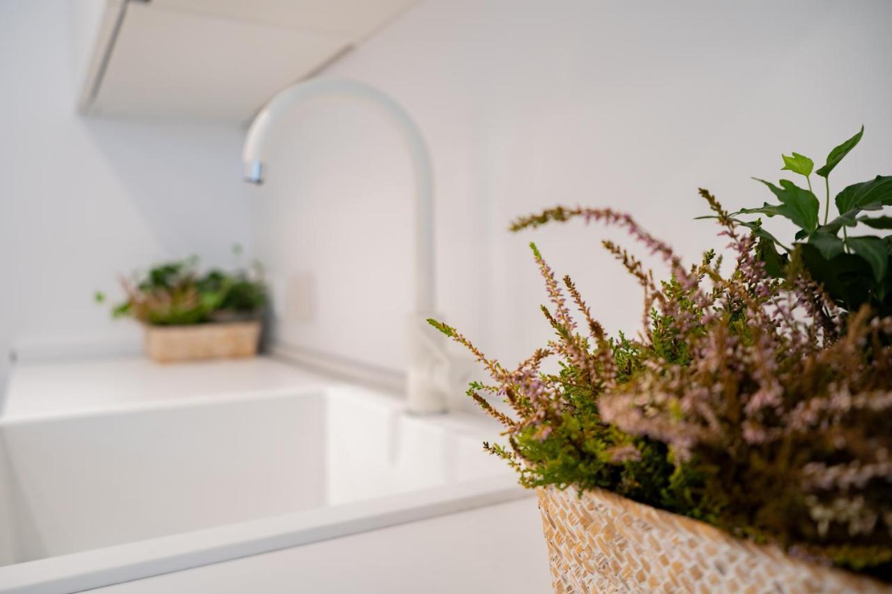Navigli-Centro-Universita, Amazing New Apartment 米兰 外观 照片